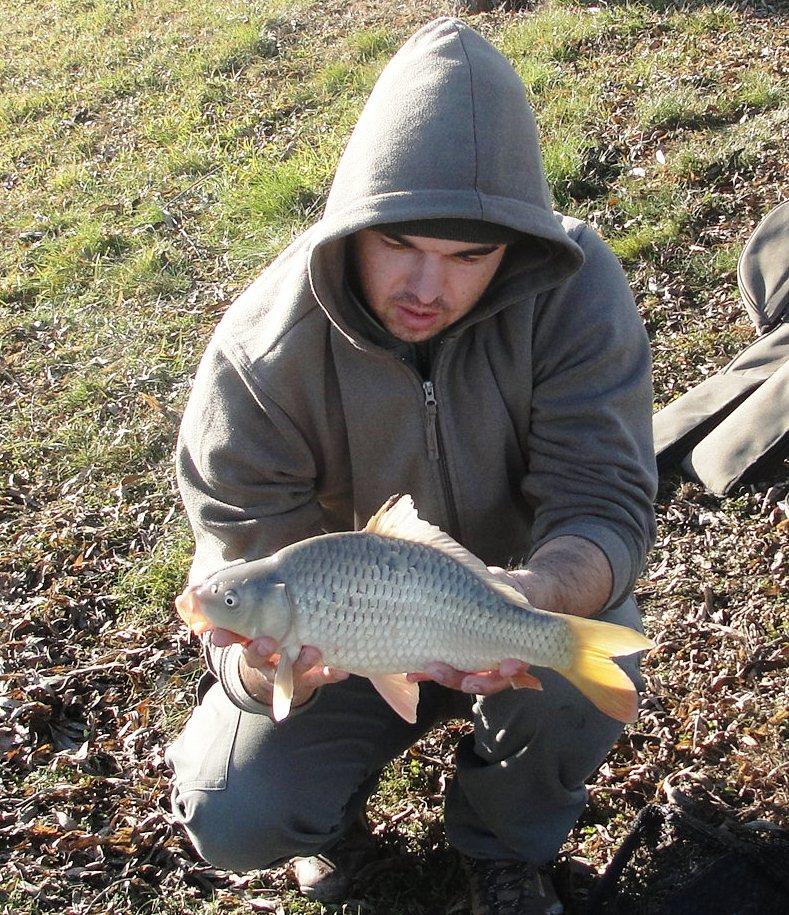 Floarea Popestiului 11 - 11 ian. - dsc03844.JPG